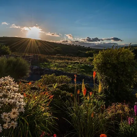 Connemara Haven 乌克特拉德